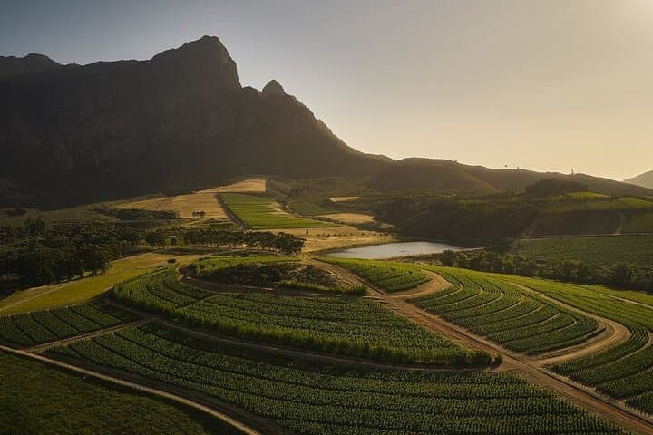 MCC Masterclass Tour: Cap Classique Masterclass in Stellenbosch & Franschhoek photo 3