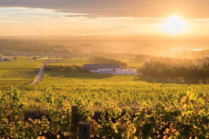 MCC Masterclass Tour: Cap Classique Masterclass in Stellenbosch & Franschhoek photo 4