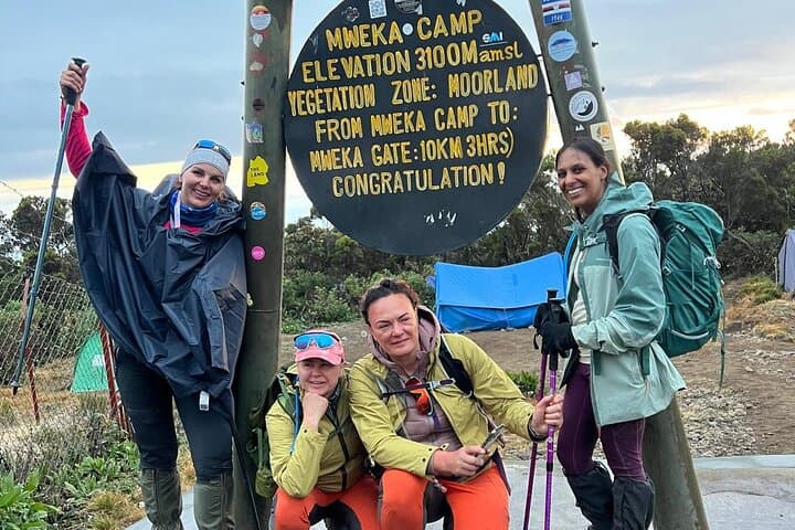 Conquering Kilimanjaro: 7-Day Lemosho Route Adventure photo 3
