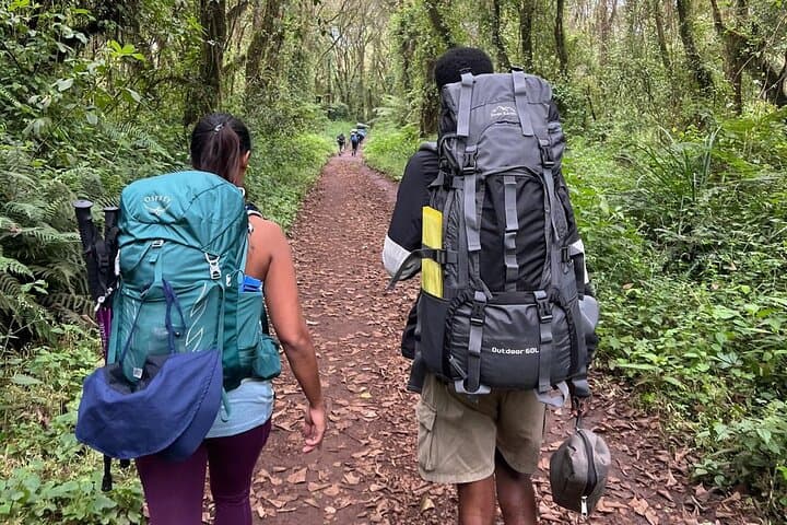 Conquering Kilimanjaro: 7-Day Lemosho Route Adventure photo 4
