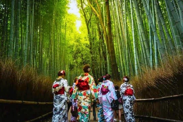 Day Tour from Osaka: Katsuo-ji, Minoo Falls, Arashiyama Bamboo & Nara Park photo 2
