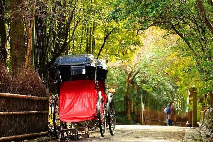 Day Tour from Osaka: Katsuo-ji, Minoo Falls, Arashiyama Bamboo & Nara Park photo 3