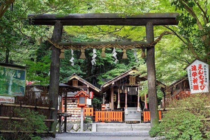 Day Tour from Osaka: Katsuo-ji, Minoo Falls, Arashiyama Bamboo & Nara Park photo 4