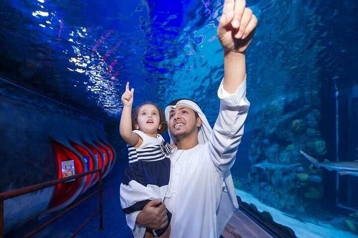 Burj Khalifa At The Top & Dubai Aquarium Combo — Observation Deck and Underwater Zoo Tickets photo 3