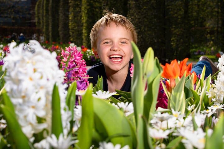 Keukenhof Day Trip from Rotterdam — Tulip Gardens Coach Shuttle & Spring Blooms photo 4