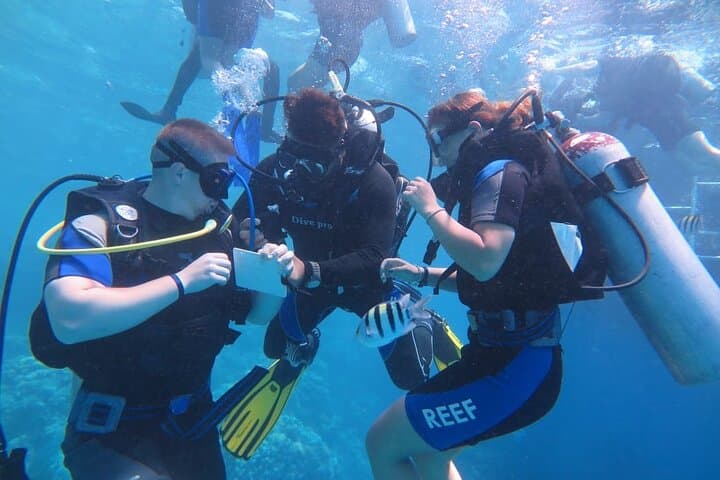 Sharm El Sheikh Beginner Scuba Diving Adventure with Lunch — Red Sea Intro Dive photo 5