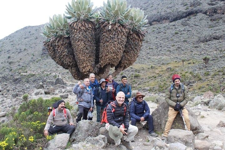 5-Day Marangu Route Kilimanjaro Trek — Summit Uhuru Peak via the Classic Route photo 5