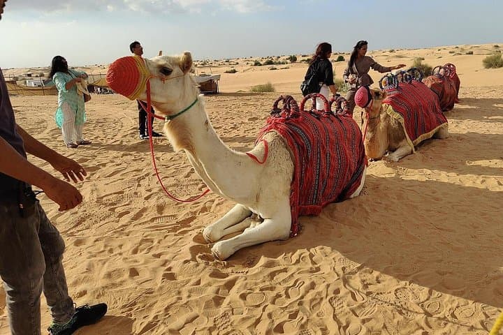 Dubai Desert Safari: Dune Bashing, Camel Rides & BBQ Under the Stars photo 1