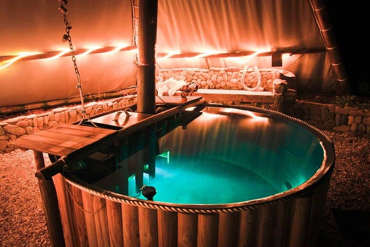 3-Day West Coast Safari & Beach Buggy Fynbos Adventure in Paternoster photo 3
