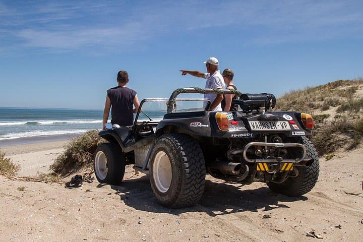 3-Day West Coast Safari & Beach Buggy Fynbos Adventure in Paternoster photo 4