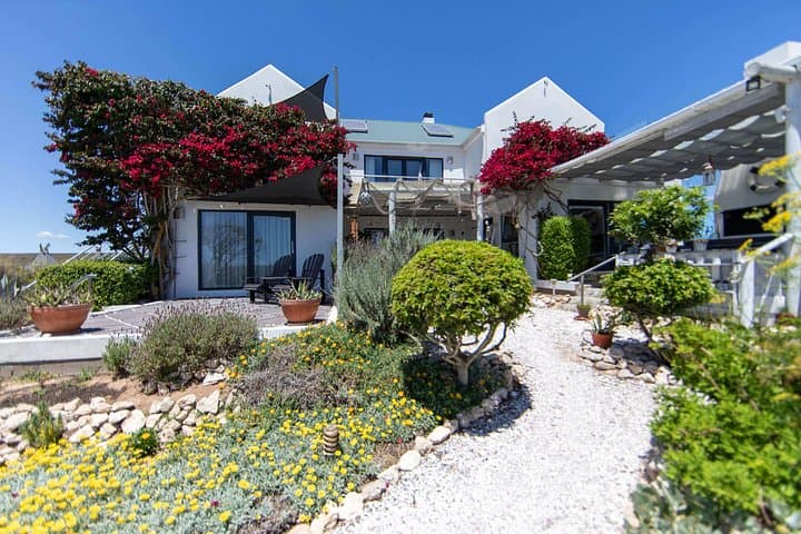 3-Day West Coast Safari & Beach Buggy Fynbos Adventure in Paternoster photo 1