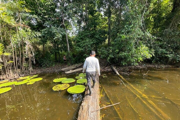 7-Day All-Inclusive Amazon Jungle Lodge Adventure from Iquitos photo 2