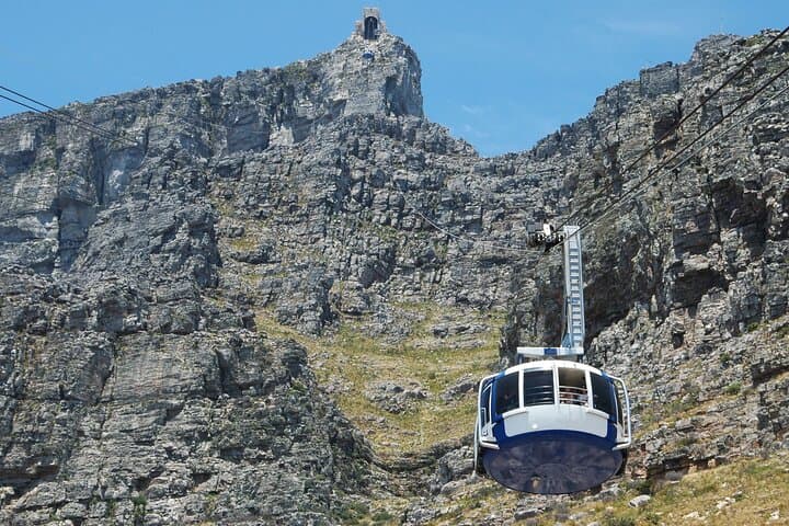 Table Mountain & Cape Point Private Day Tour — Penguins, Cableway & Coastal Views