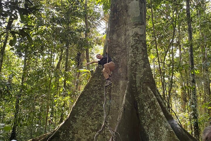 4-Day Guided Jungle Tour from Iquitos: Canoes, Canopy Views & Indigenous Culture