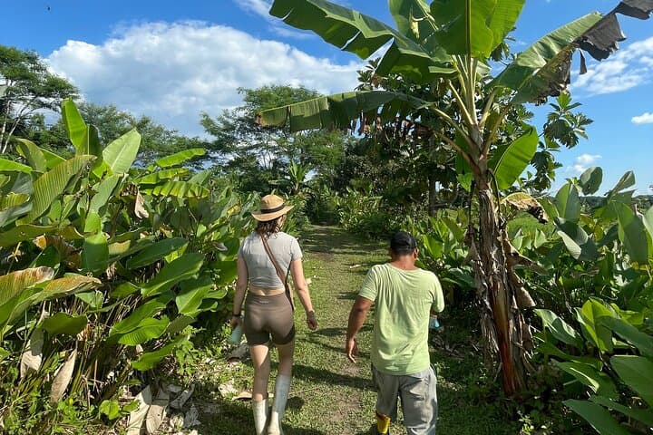 4-Day Guided Jungle Tour from Iquitos: Canoes, Canopy Views & Indigenous Culture photo 3