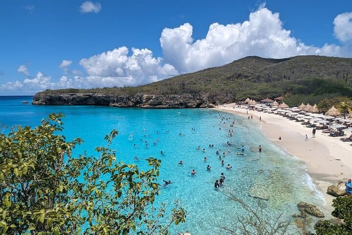 Curacao Blue Experience: Snorkel with Turtles & Beach-Hop to Kenepa, Kalki & Playa Grandi photo 4