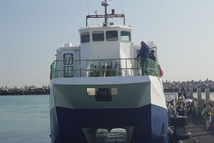 Robben Island Museum Tour with Former Prisoner Guide — Cape Town Ferry & History photo 3