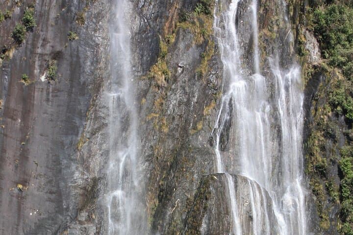 Franz Josef Nature Tour: Rainforest Walks & Glacier Valley Views photo 5