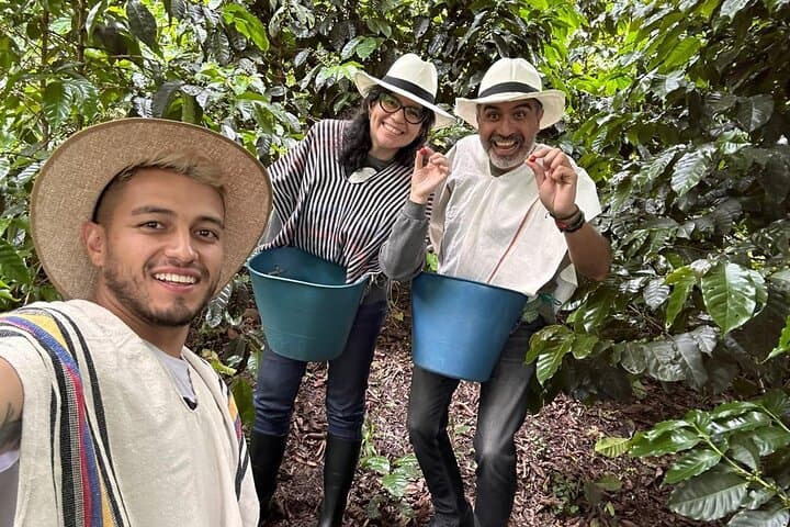 Bogota to Finca Cafetera: Private Coffee Farm Tour & Tasting