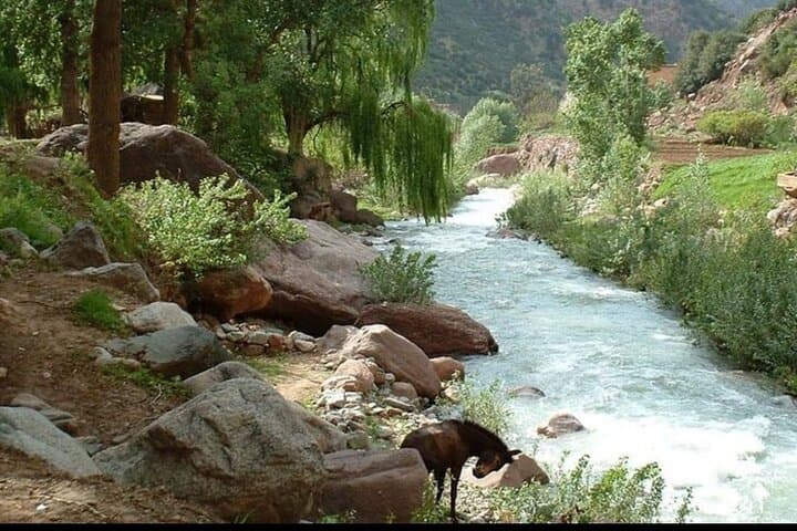 Ourika Valley Waterfall Day Trip from Marrakech — Setti Fatma & Berber Villages photo 5