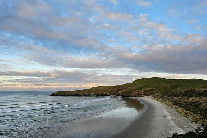 Twilight at The OPERA: Otago Peninsula Yellow‑Eyed Penguin Sunset Tour photo 1