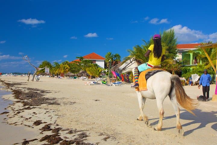 Negril Seven Mile Beach & Rick's Cafe Sunset and Cliff-Jump Tour from Montego Bay photo 5
