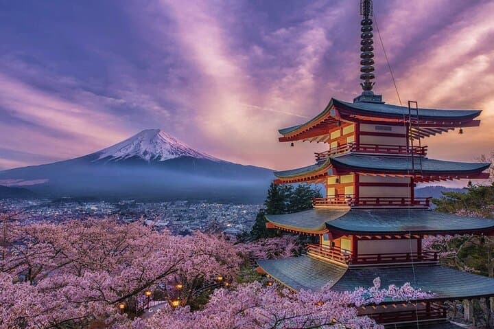 Mt. Fuji & Hakone Private Day Tour from Tokyo: 5th Station, Lake Ashi, Ropeway and Chureito Pagoda
