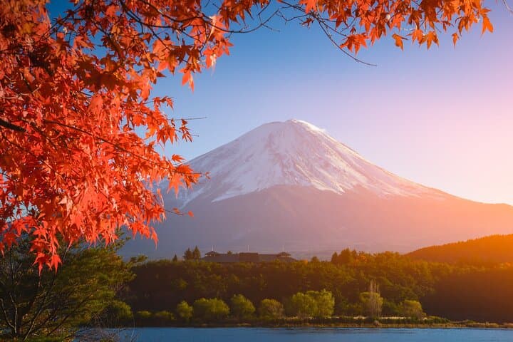 Mt. Fuji & Hakone Private Day Tour from Tokyo: 5th Station, Lake Ashi, Ropeway and Chureito Pagoda photo 5