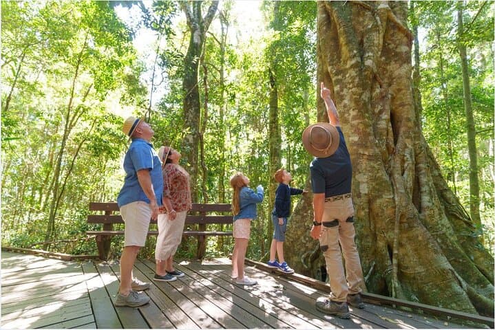 O'Reilly's Rainforest Retreat & Vineyard Day Tour from Gold Coast photo 4