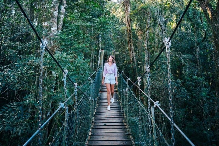 O'Reilly's Rainforest Retreat & Vineyard Day Tour from Gold Coast photo 3