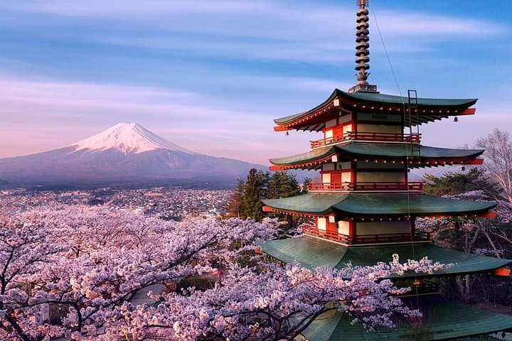 Private Mt Fuji Day Tour from Tokyo — 5th Station, Kawaguchiko & Lava Caves photo 1