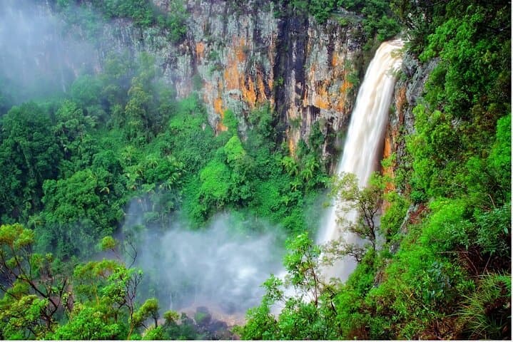 Springbrook Natural Bridge & Waterfalls Tour from Gold Coast photo 2