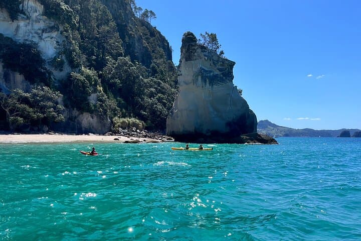 2-Day Private Coromandel Peninsula Highlights Tour from Hamilton