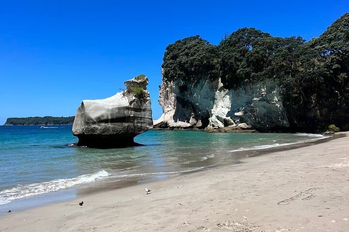 2-Day Private Coromandel Peninsula Highlights Tour from Hamilton photo 2