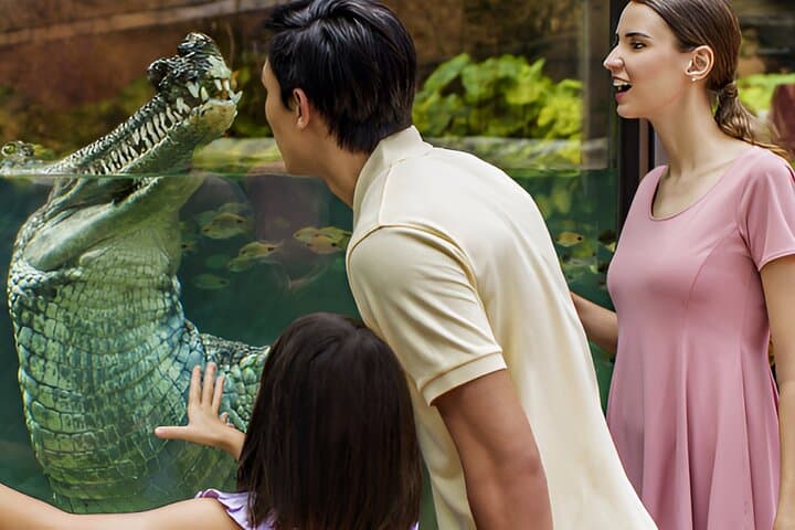 Singapore River Wonders Guide: Giant Panda Forest, Amazon Flooded Forest & Visitor Tips photo 4