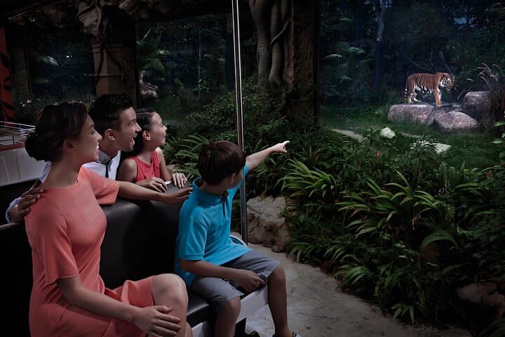 Singapore Night Safari: After-Dark Tram & Walking Trails for Wildlife Viewing photo 2