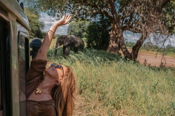 Train to Mikumi: One-Day Safari from Dar es Salaam photo 3