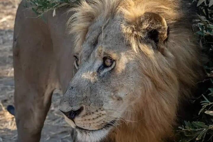 Train to Mikumi: One-Day Safari from Dar es Salaam photo 6