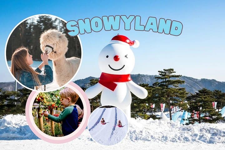 Alpaca World & Snowyland Day Trip: Strawberry Picking, Farm Animals and Winter Play Near Seoul