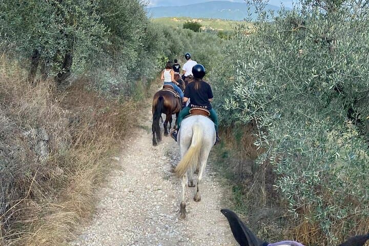 Tuscany Horseback Riding and Wine Tasting: Ride Through Chianti Vineyards photo 2