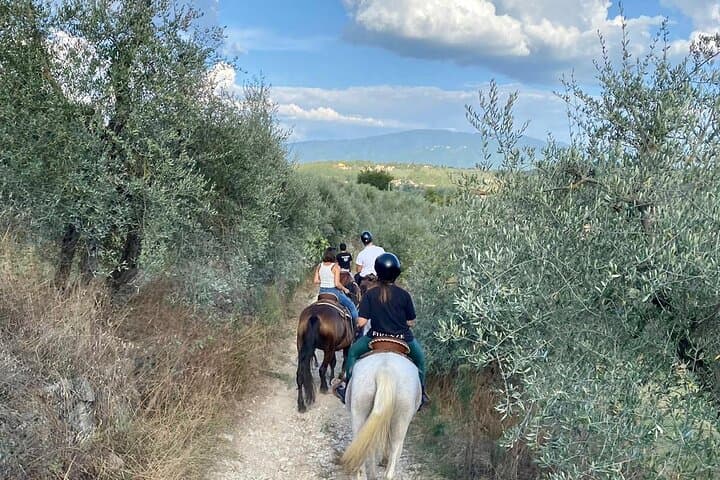 Tuscany Horseback Riding and Wine Tasting: Ride Through Chianti Vineyards photo 5