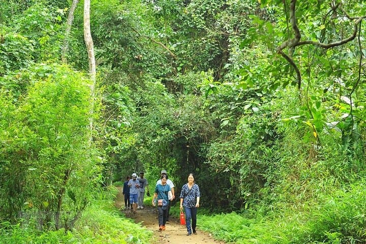 Explore Cuc Phuong National Park: One-Day Guided Trek from Ninh Binh photo 6