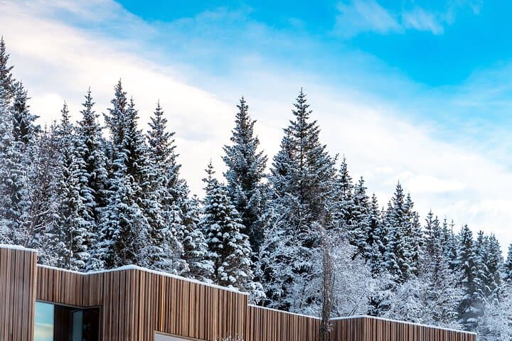 Akureyri Winter Combo: Goðafoss Waterfall, Christmas House & Forest Lagoon Geothermal Spa photo 5