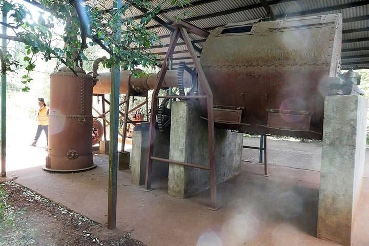 Giraffe Center, Karen Blixen & Bomas: Nairobi’s Wildlife and Cultural Half-Day photo 3