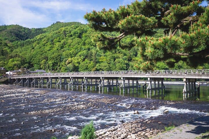 Half-Day Kyoto: Golden Pavilion & Arashiyama Bamboo Grove Private Tour photo 4
