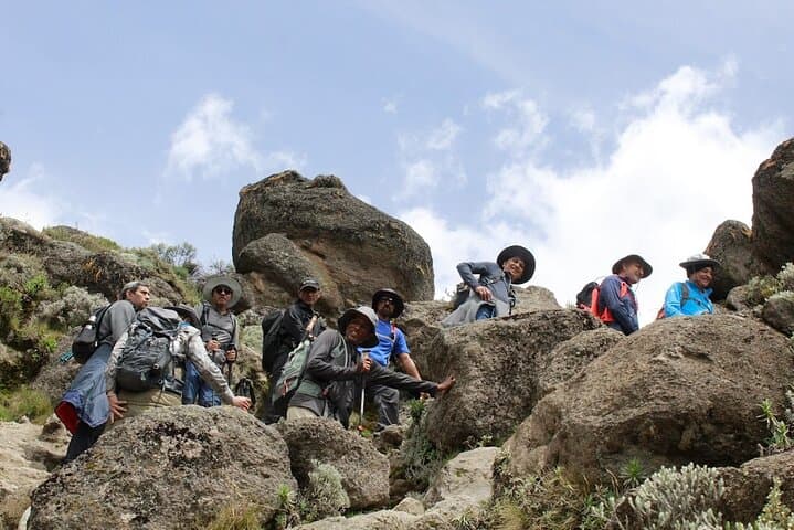 5-Day Marangu Route Kilimanjaro Trek — Summit Uhuru Peak via the Classic Route photo 3
