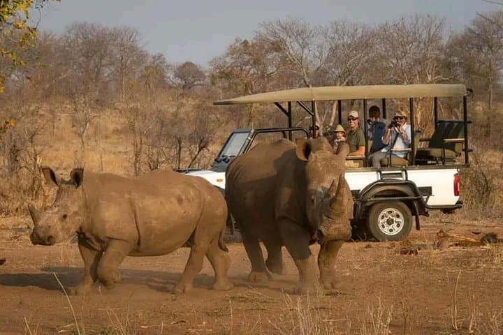 Rhino Private Walking Tour in Livingstone — Guided Bush Walk with Wild Rhinos photo 2