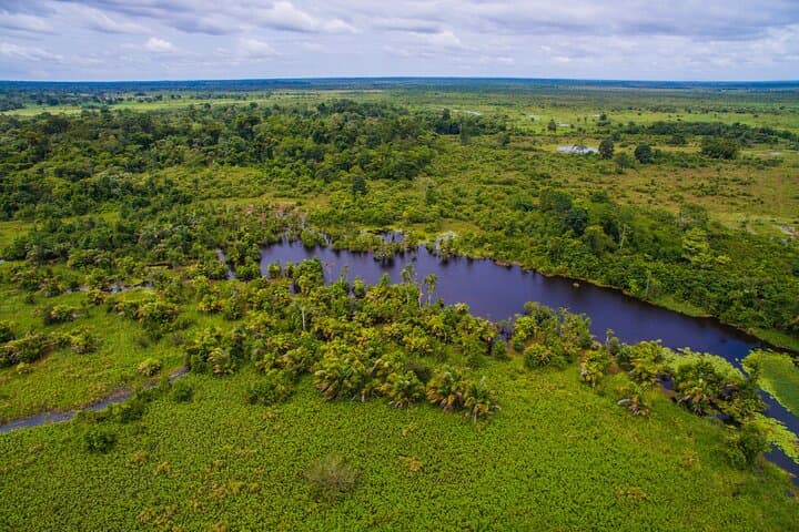 Caño Blanco River Safari: Silent-Boat Wildlife Cruise from La Fortuna