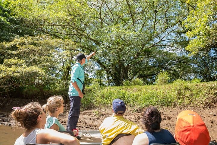 Caño Blanco River Safari: Silent-Boat Wildlife Cruise from La Fortuna photo 3