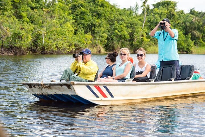 Caño Blanco River Safari: Silent-Boat Wildlife Cruise from La Fortuna photo 5